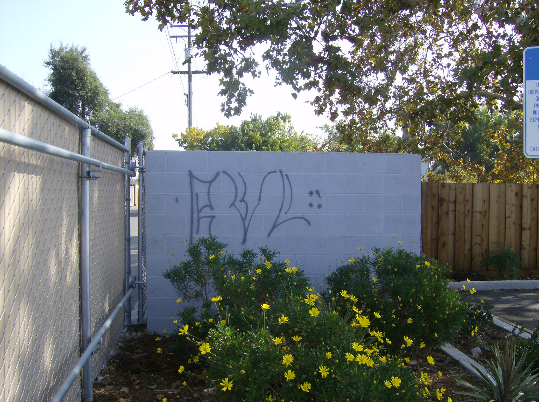 CODE ENFORCEMENT 080.jpg