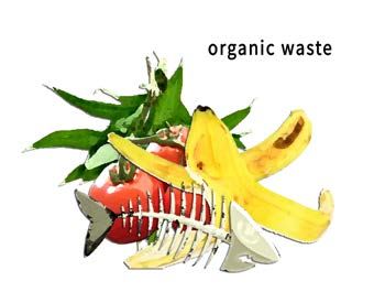 Organic Waste example